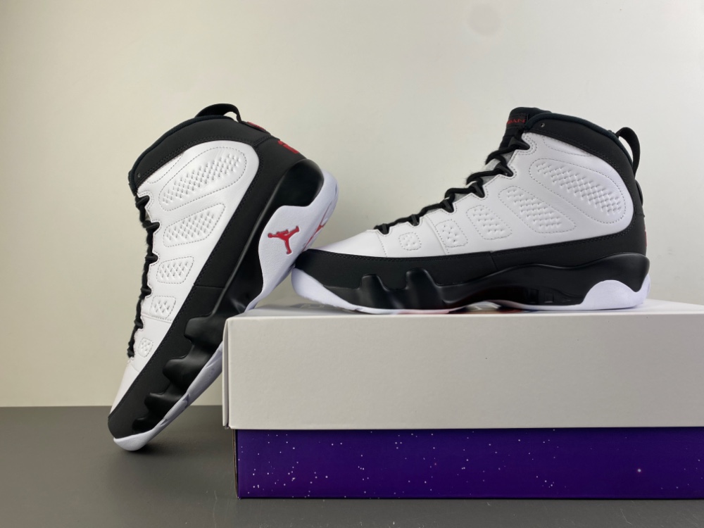 Air Jordan 9 IX6179-100